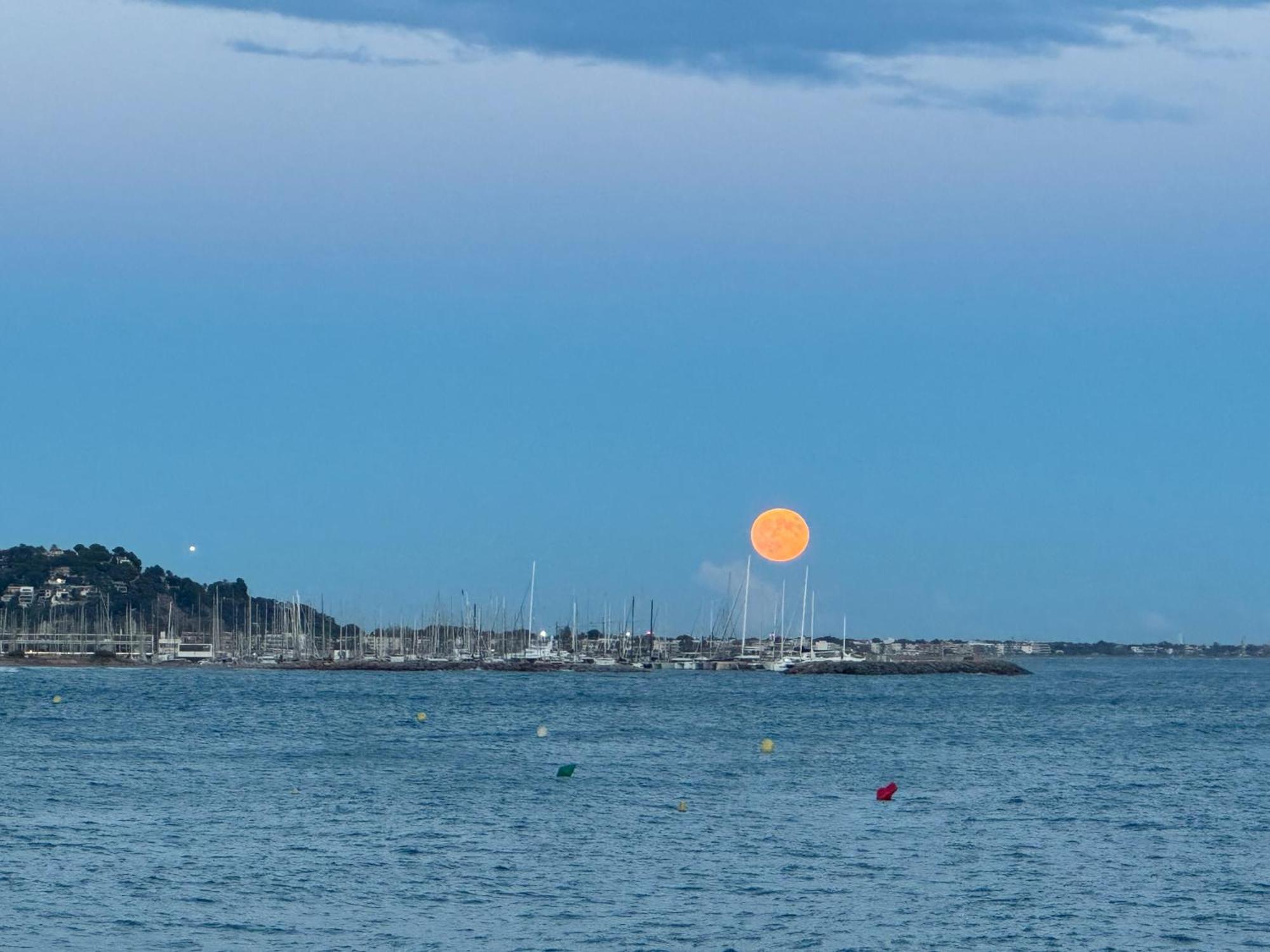 Experience Fantastique De Berce Par La Pres De Barcelone